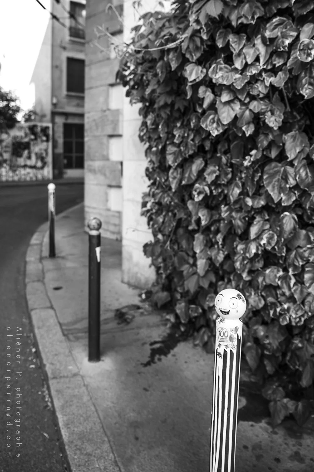blog photo lyon