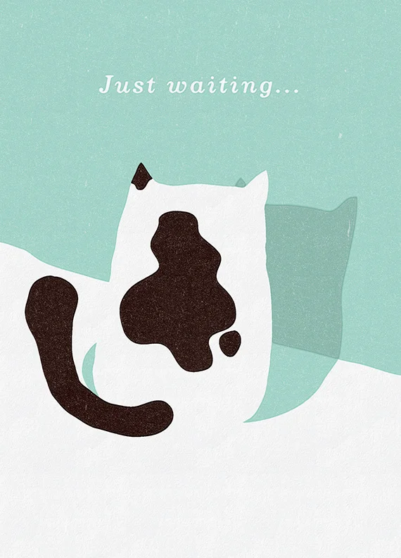 cat waiting-2.jpg