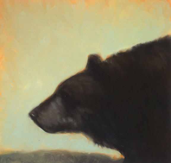 bear.jpg