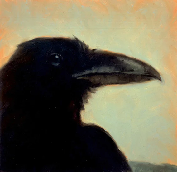 raven.jpg