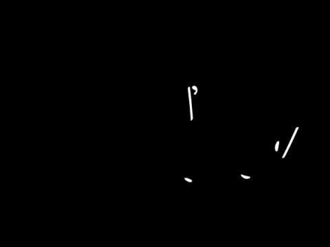 Folium- they are falling