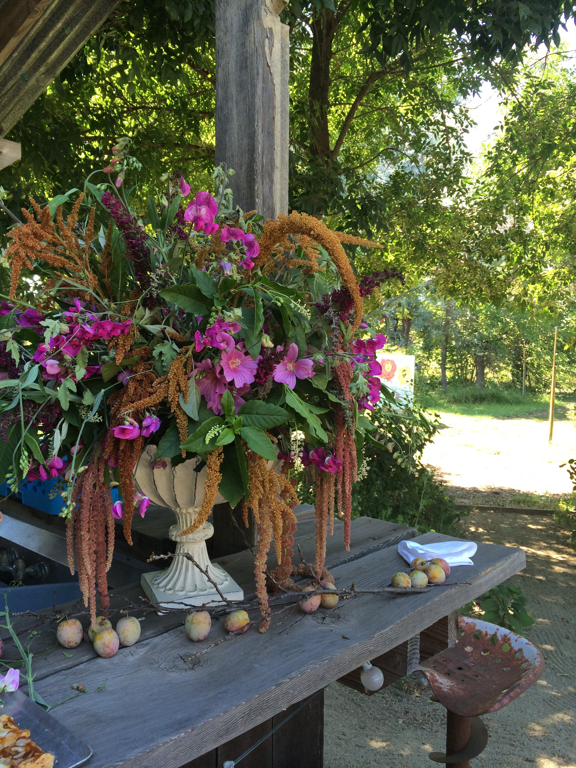 Dreamland at Dragonfly Floral