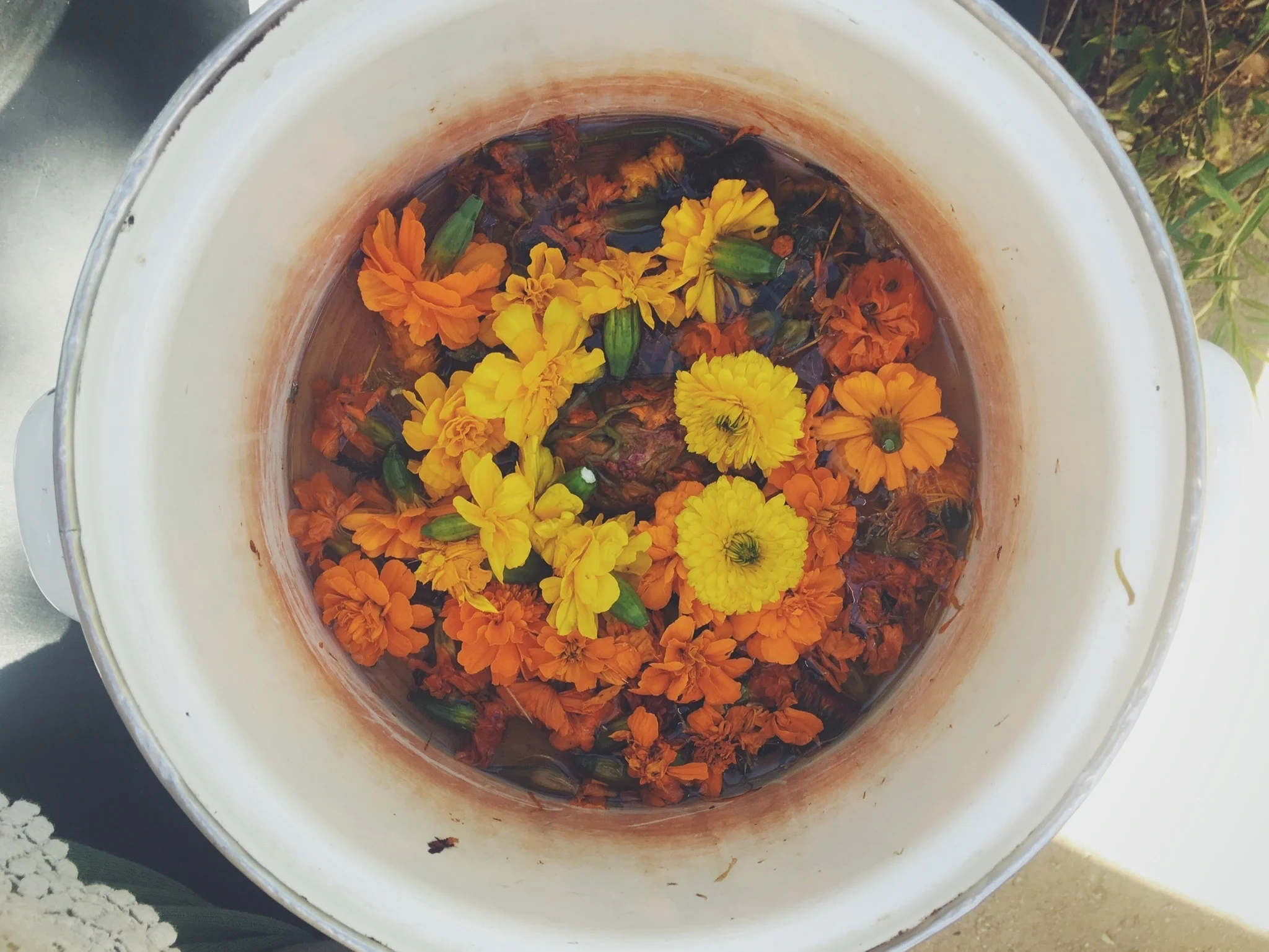 Natural Dyes 101 with Kristin Morrison