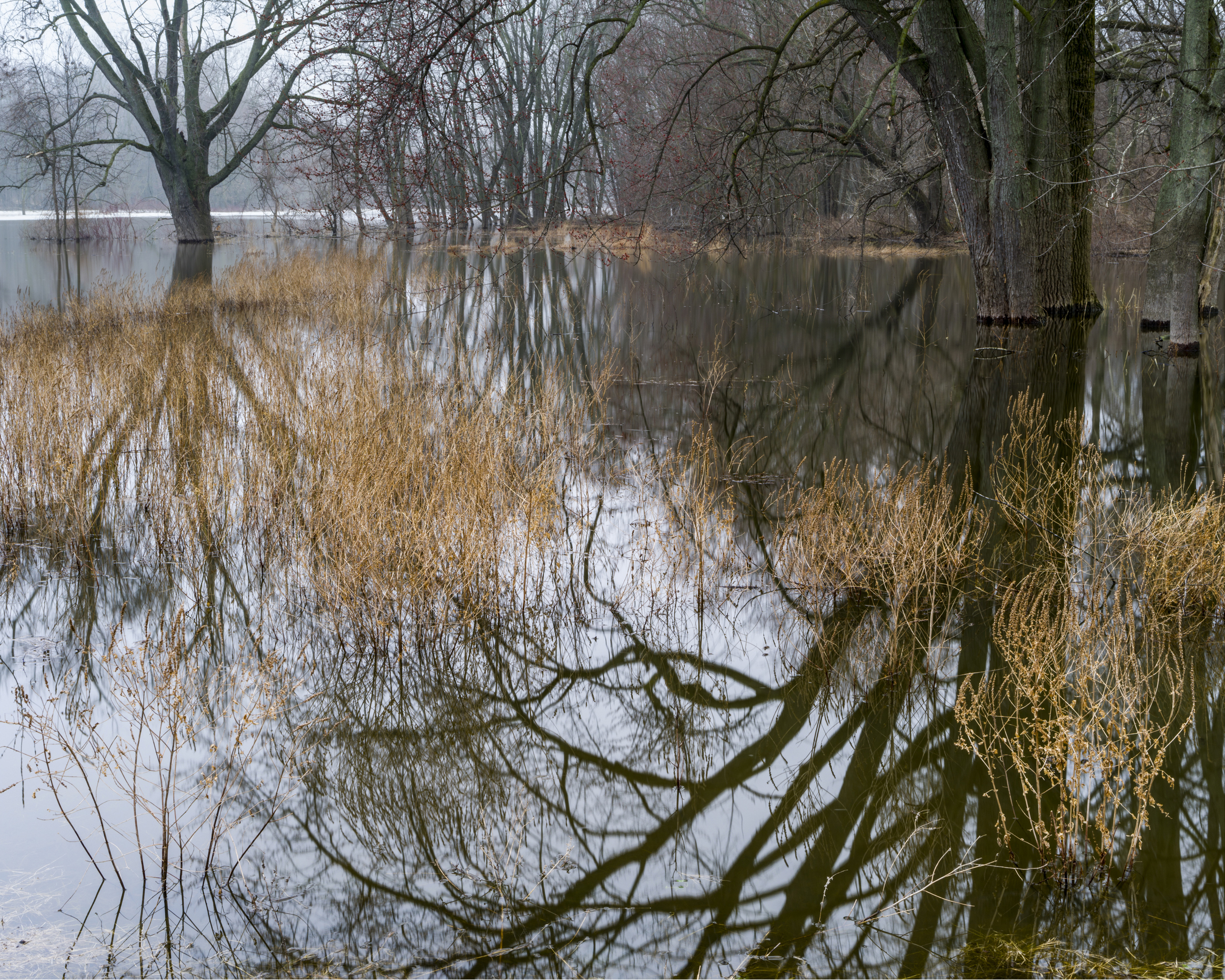 _IGP9573 as Smart Object-1.jpg