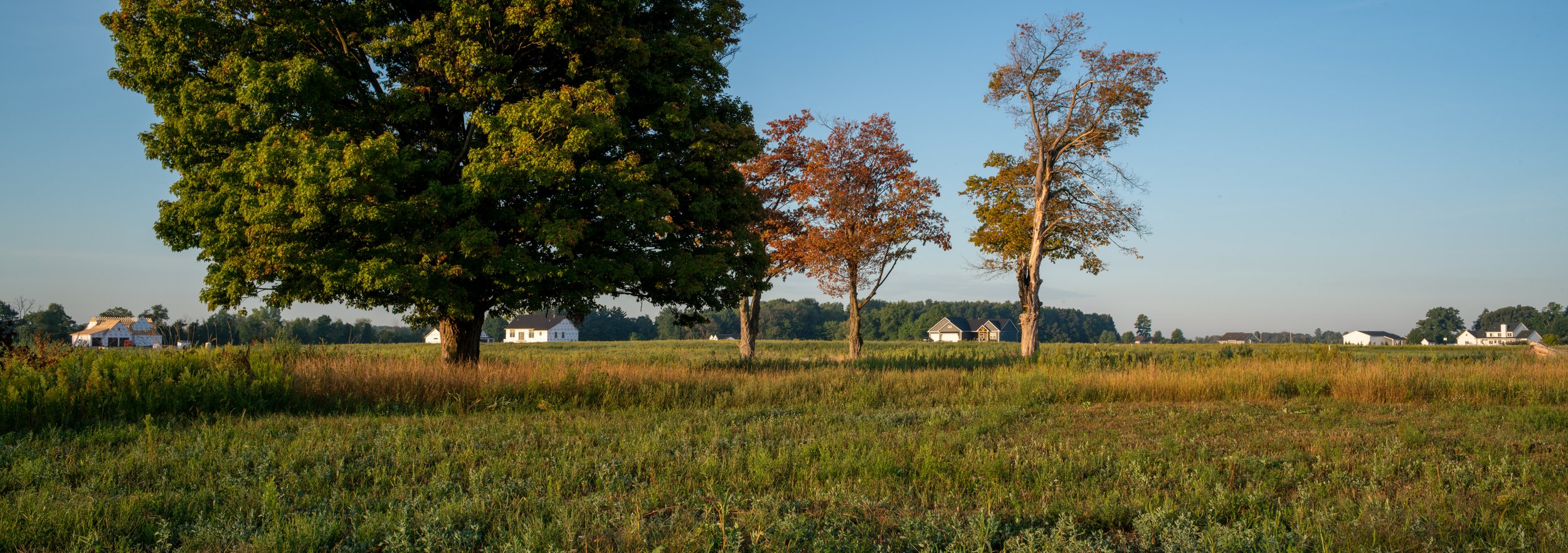 _DSC1150-Pano.jpg