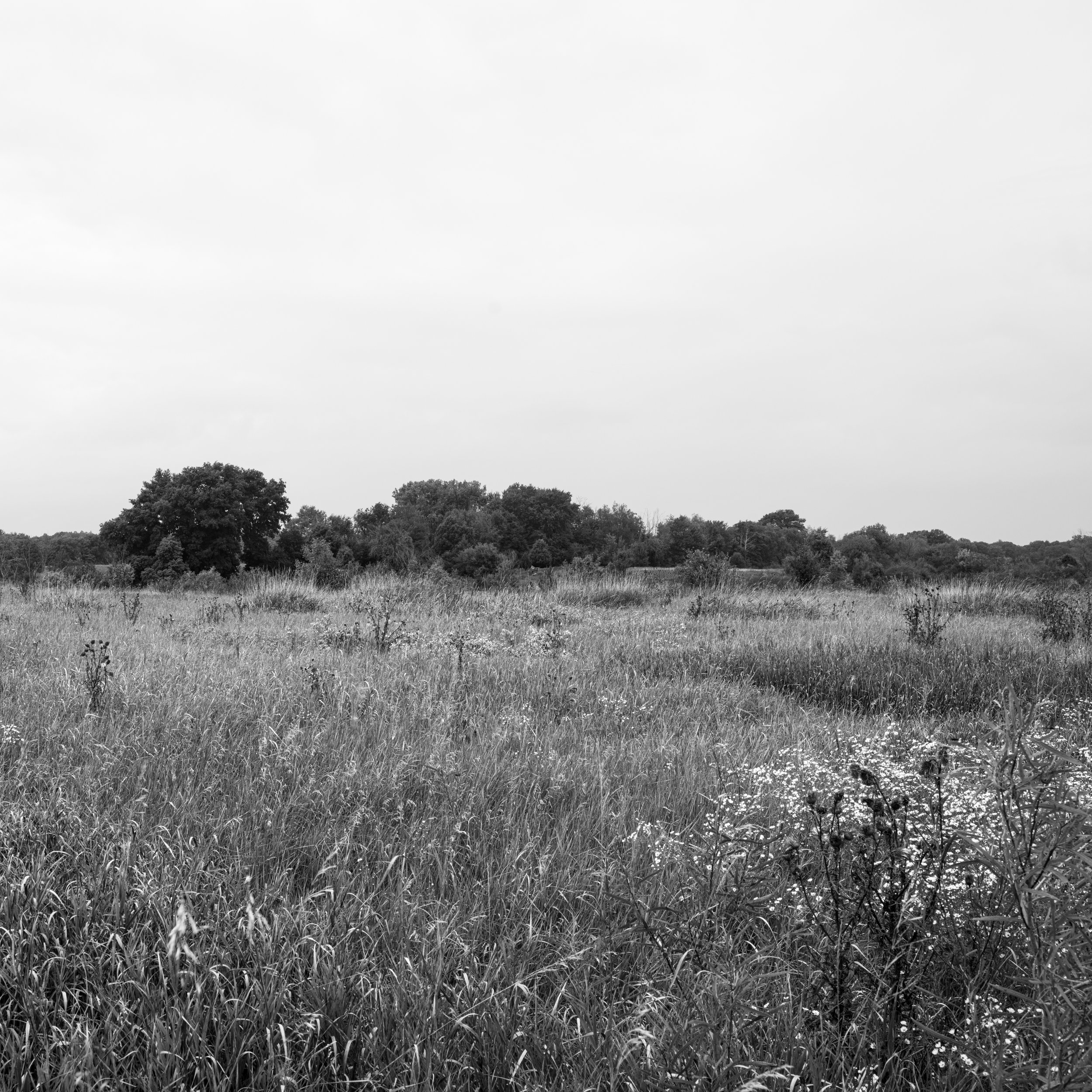 _DSF0023.jpg
