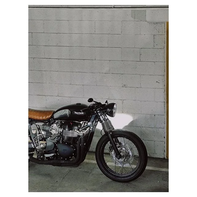 Sorry not sorry the light was good. // This might be the most fun bike I&rsquo;ve owned so far. #iphone #triumph #bonneville #losangeles #losfeliz #caferacer