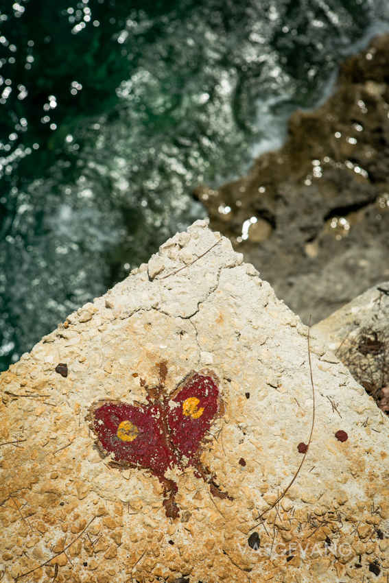 bahamas2014-web-3745.jpg