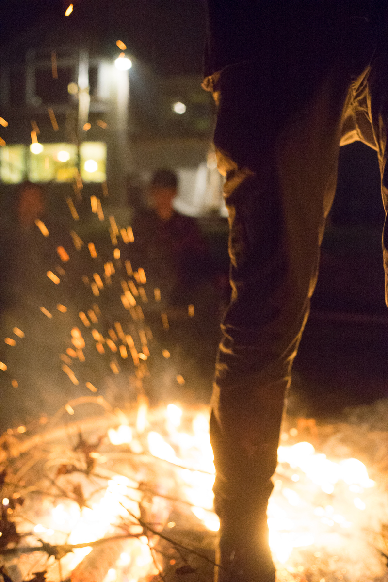 Bonfire-08529.jpg