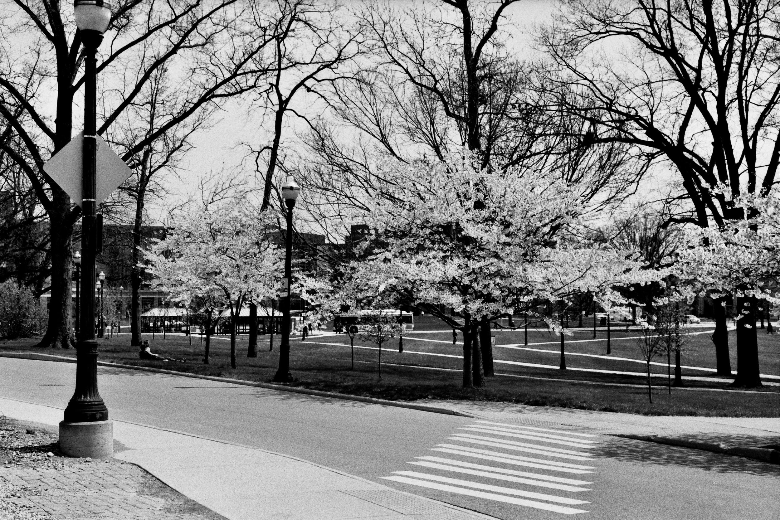 South Campus in Spring