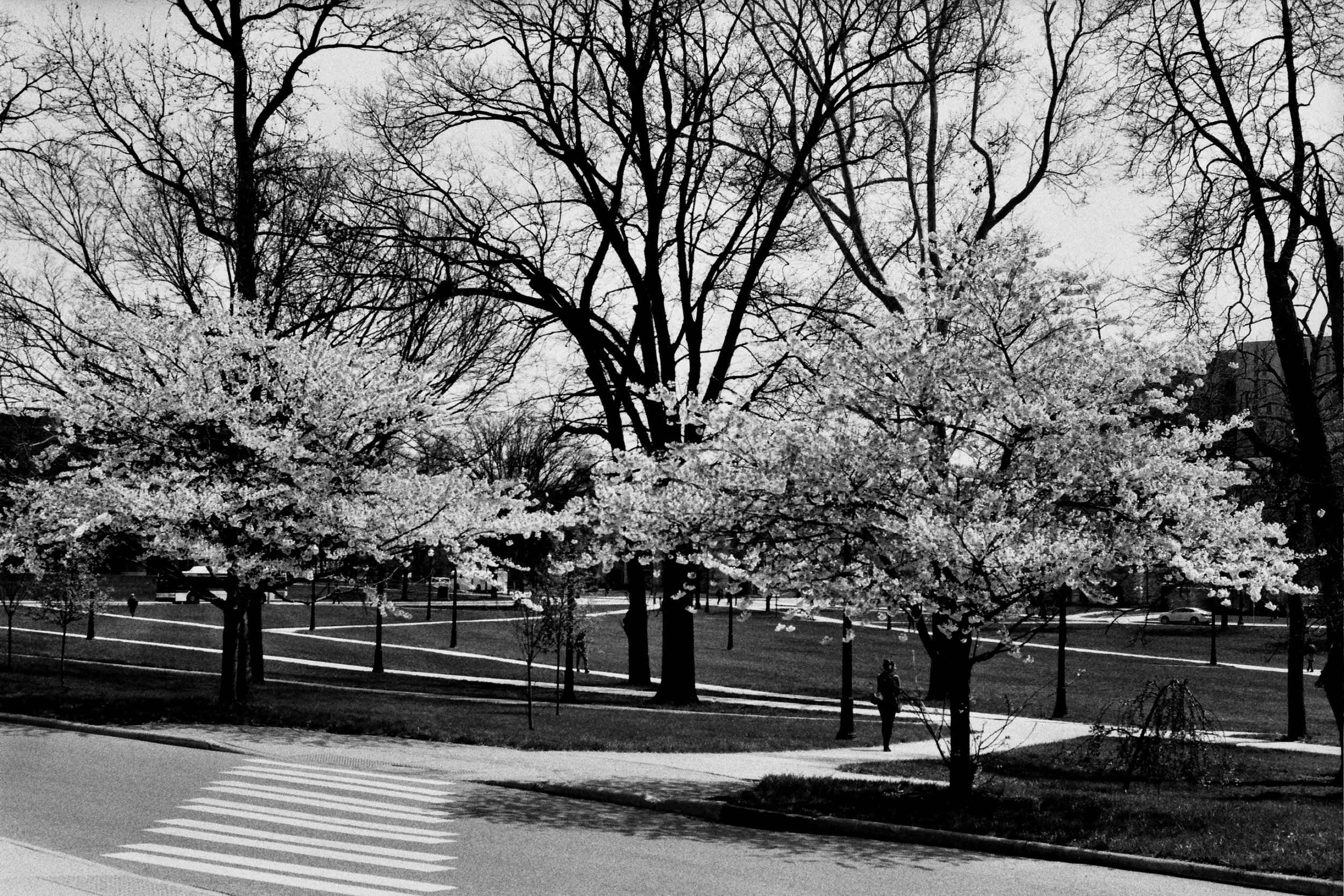 More South Campus