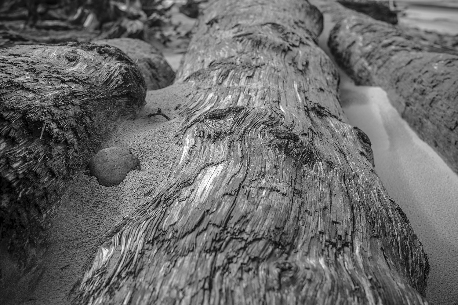 Leica Monochrom 50mm Summilux-M f1.4