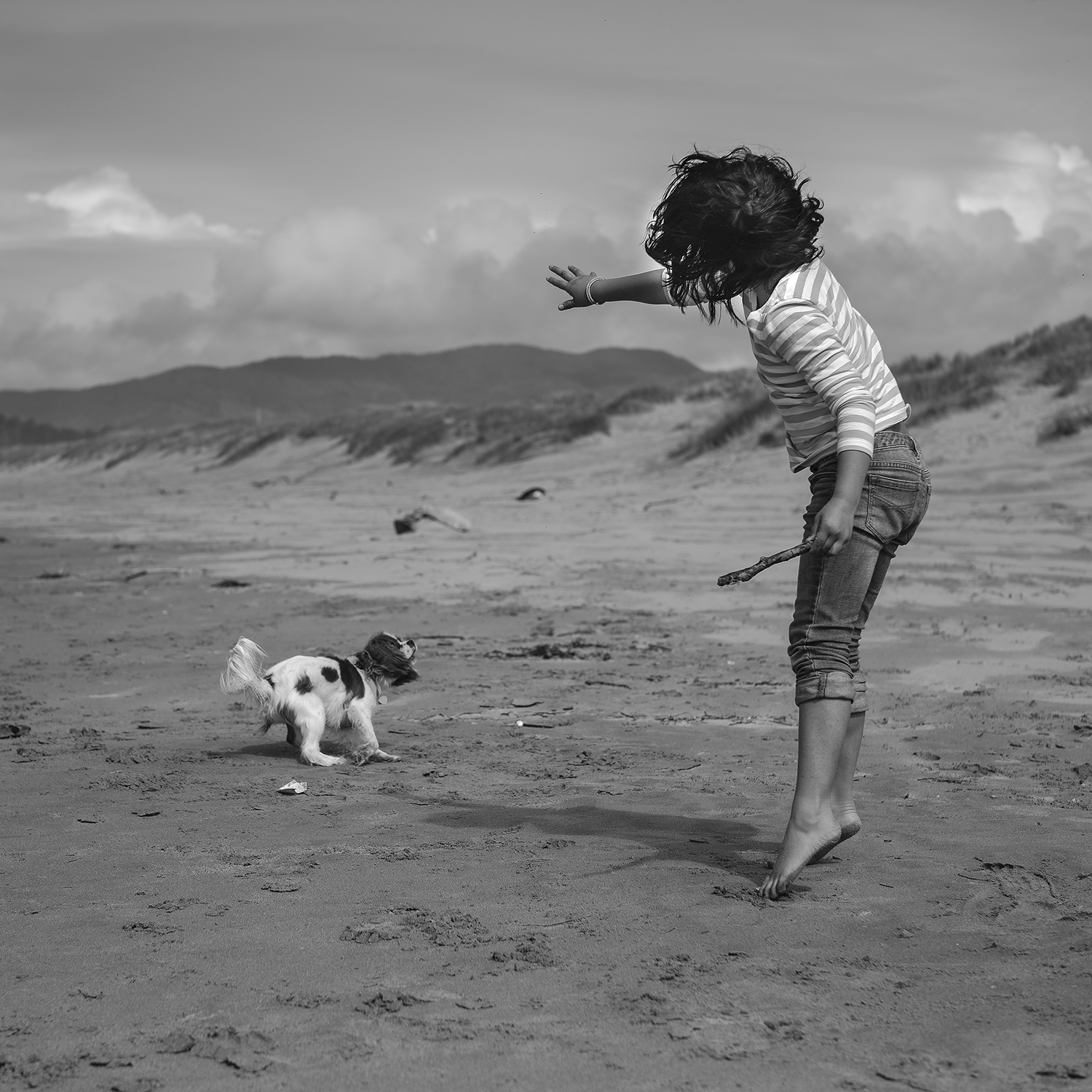 Leica Monochrom Summilux-M f1.4