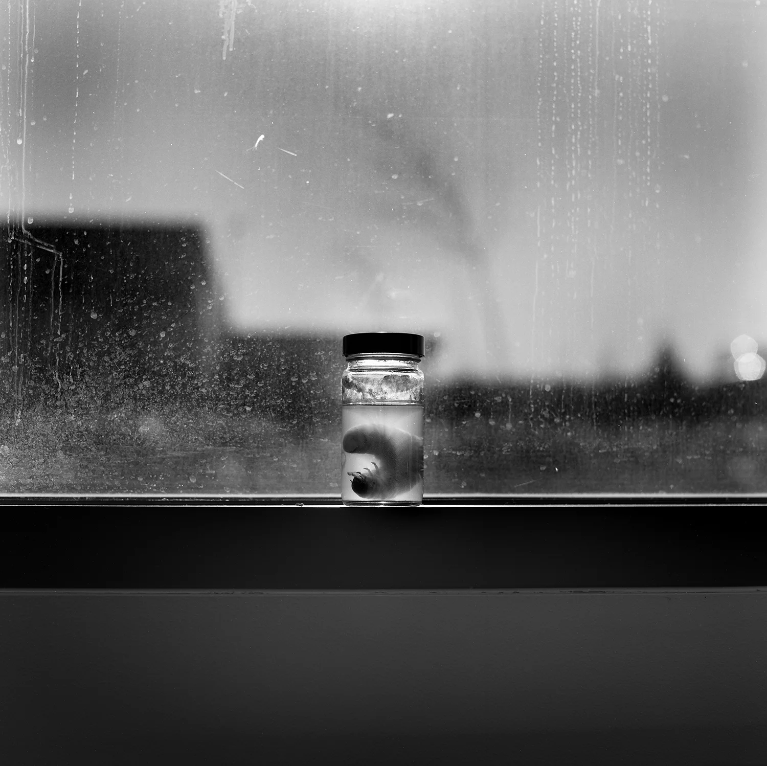 Hasselblad CM