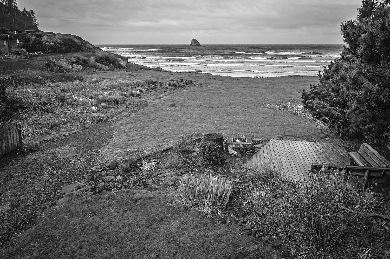Leica Monochrom 50mm Summilux-M f1.4
