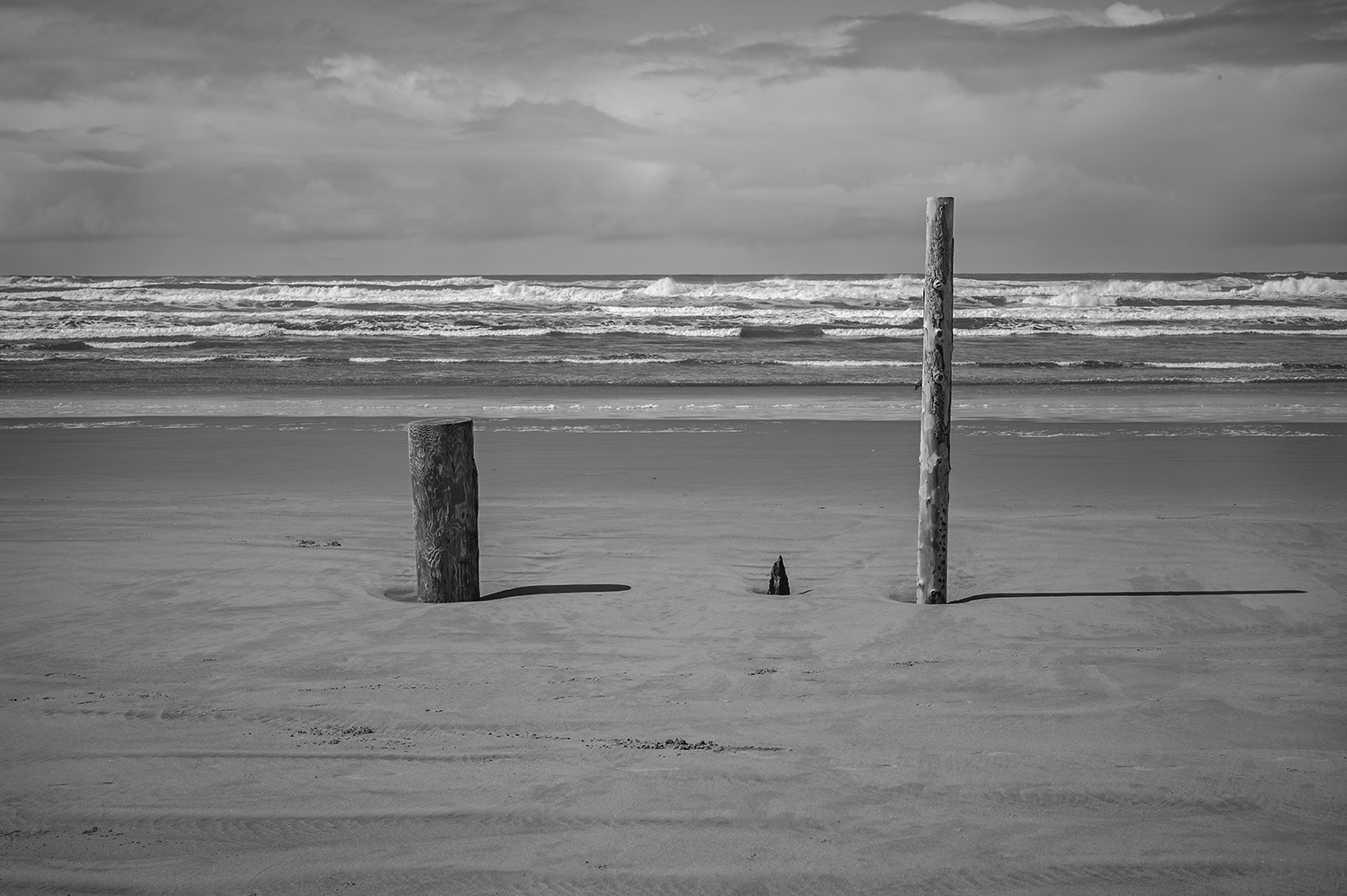 Leica Monochrom 28mm Elmarit-M f2.8