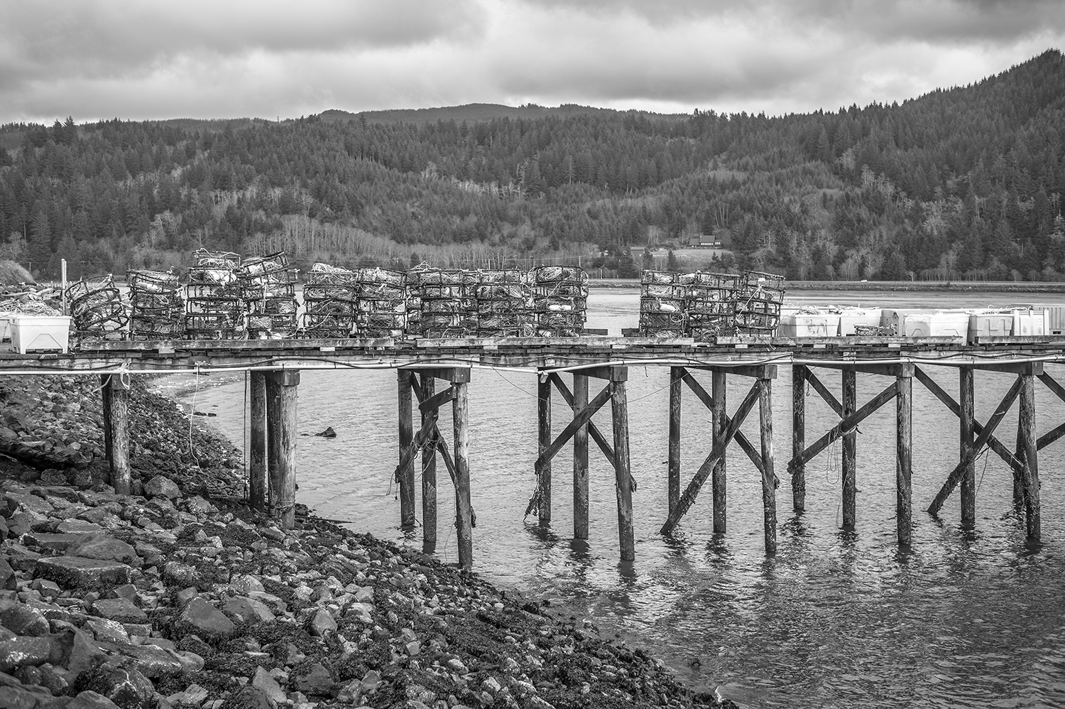 Leica Monochrom 28mm Elmarit-M f2.8