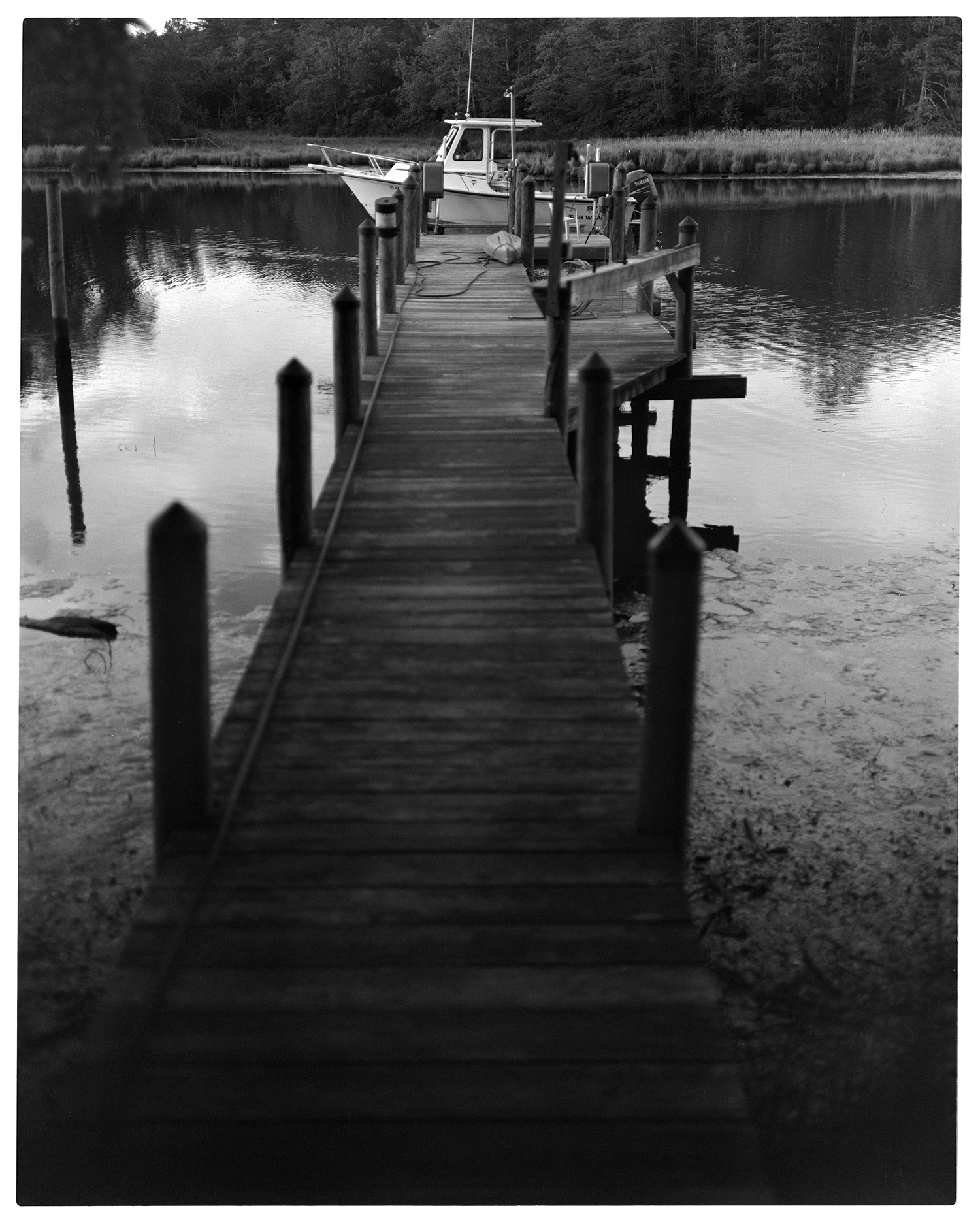 4x5 Schneider Xenotar 150mm F1:2.8