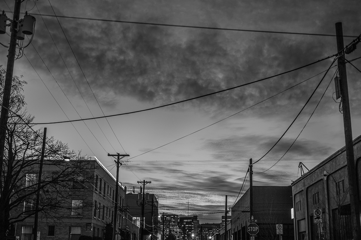Leica Monochrom 50mm Summilux-M f1.4