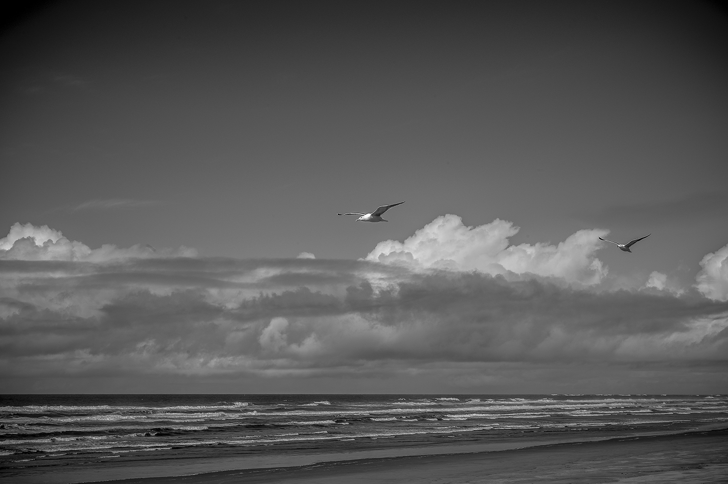 Leica Monochrom 50mm Summilux-M f1.4