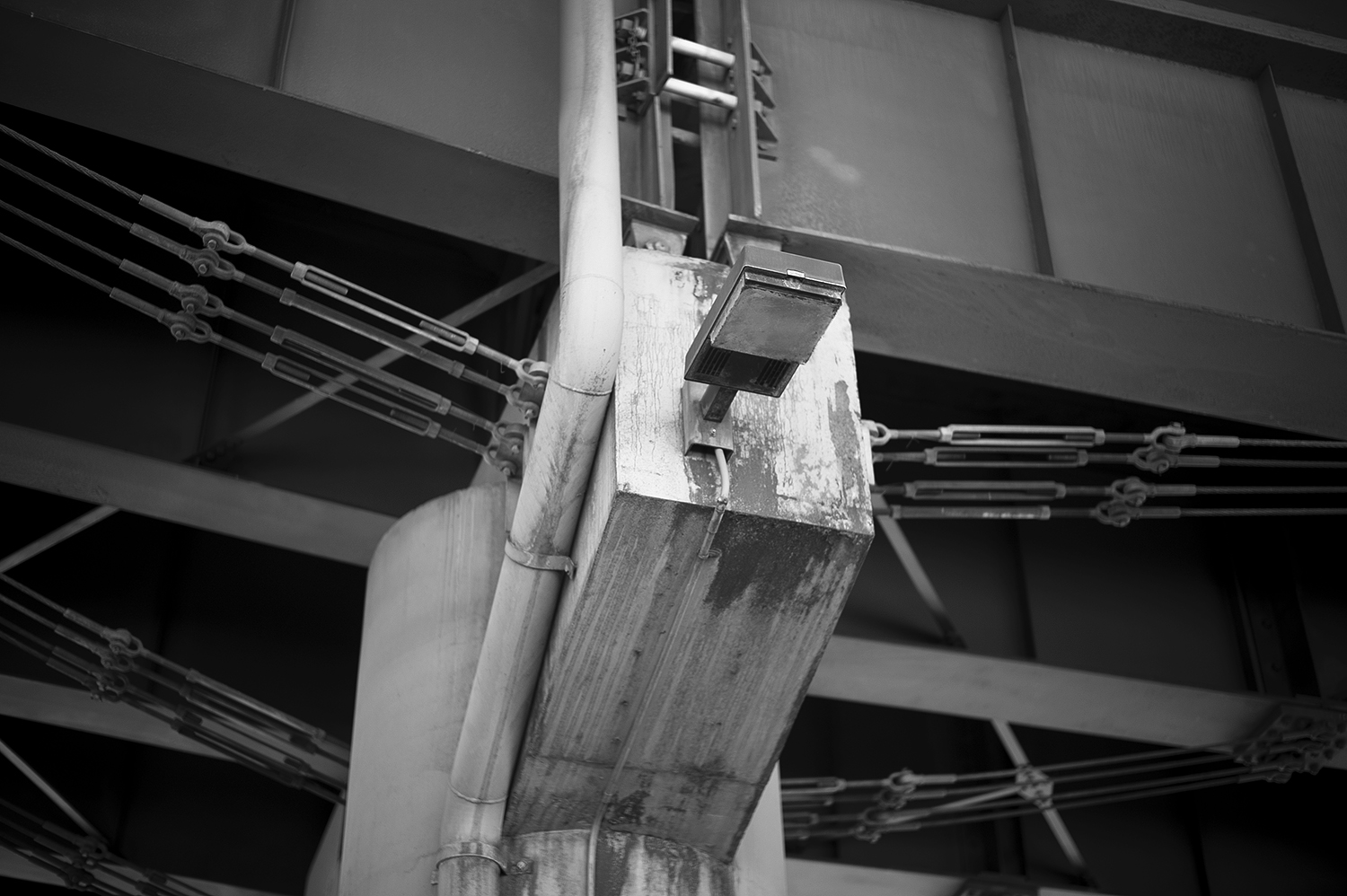 Leica Monochrom 50mm Summilux-M f1.4
