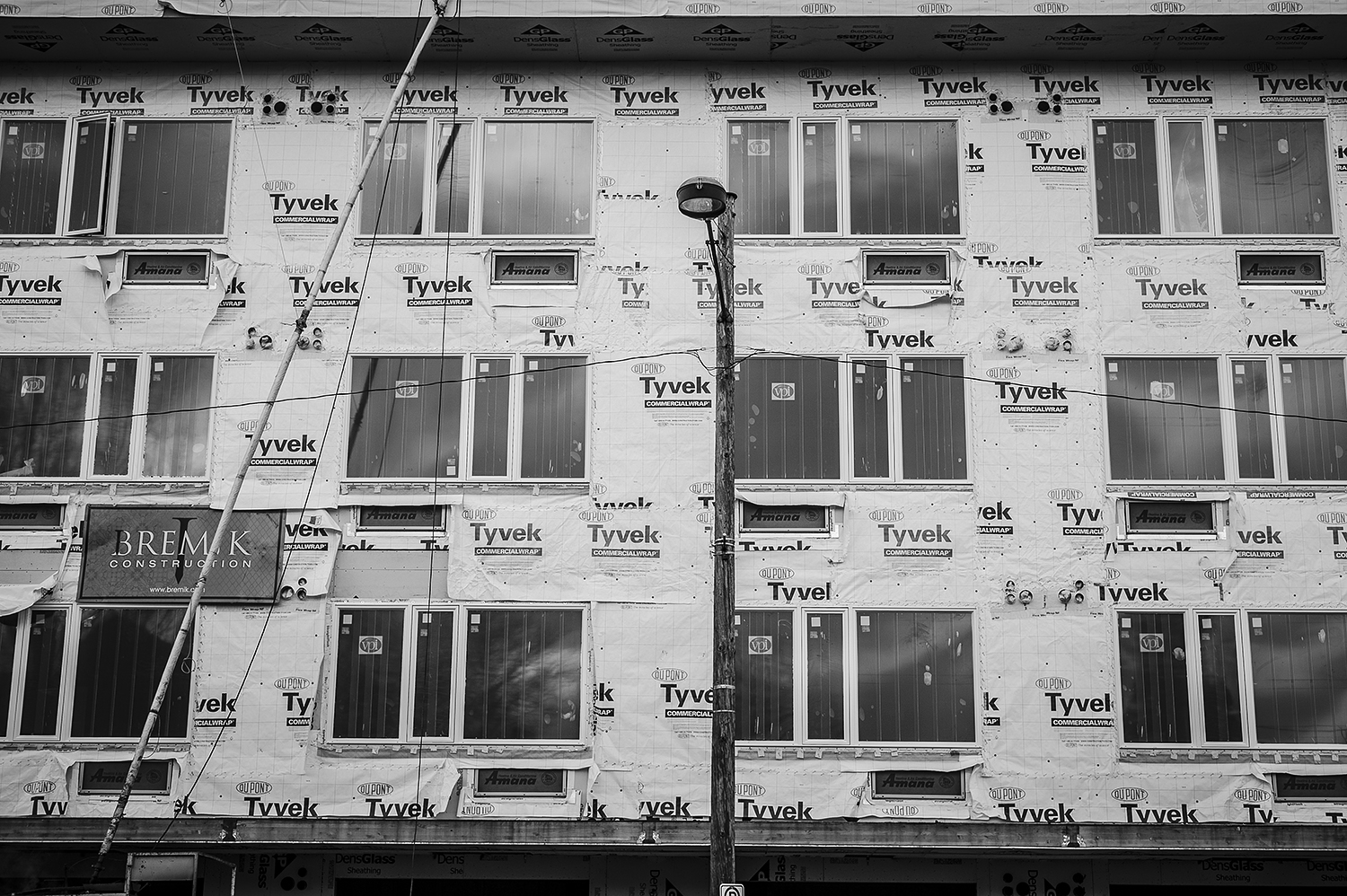 Leica Monochrom 50mm Summilux-M f1.4