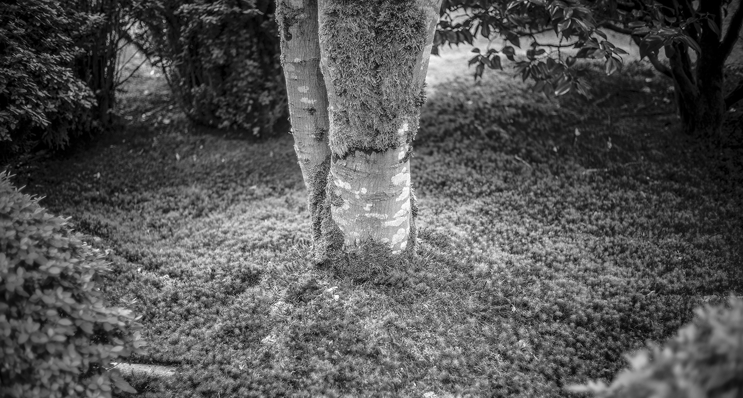 Leica Monochrom 40mm f1.4 Voigtlander Nokton