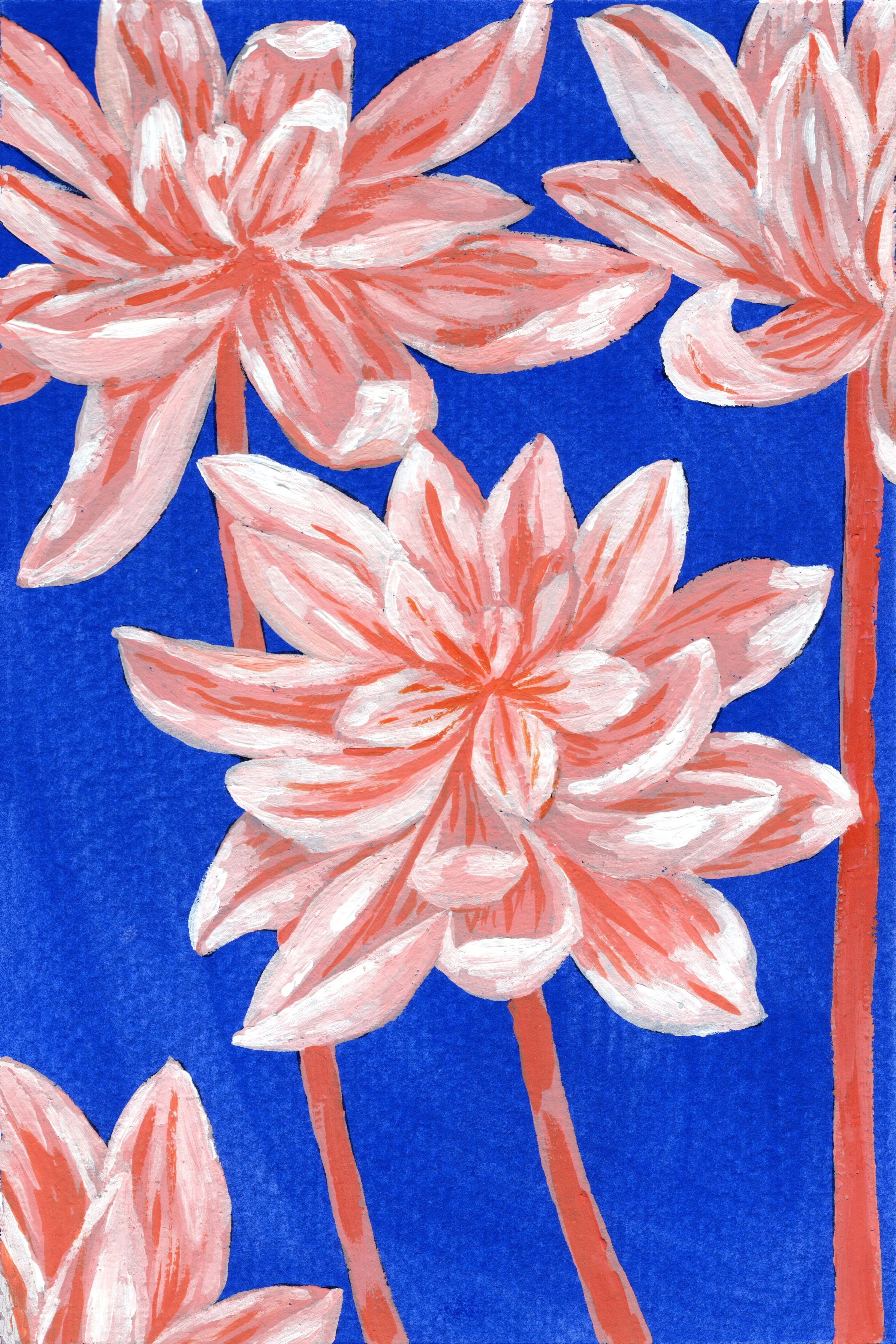Dahlias.jpg