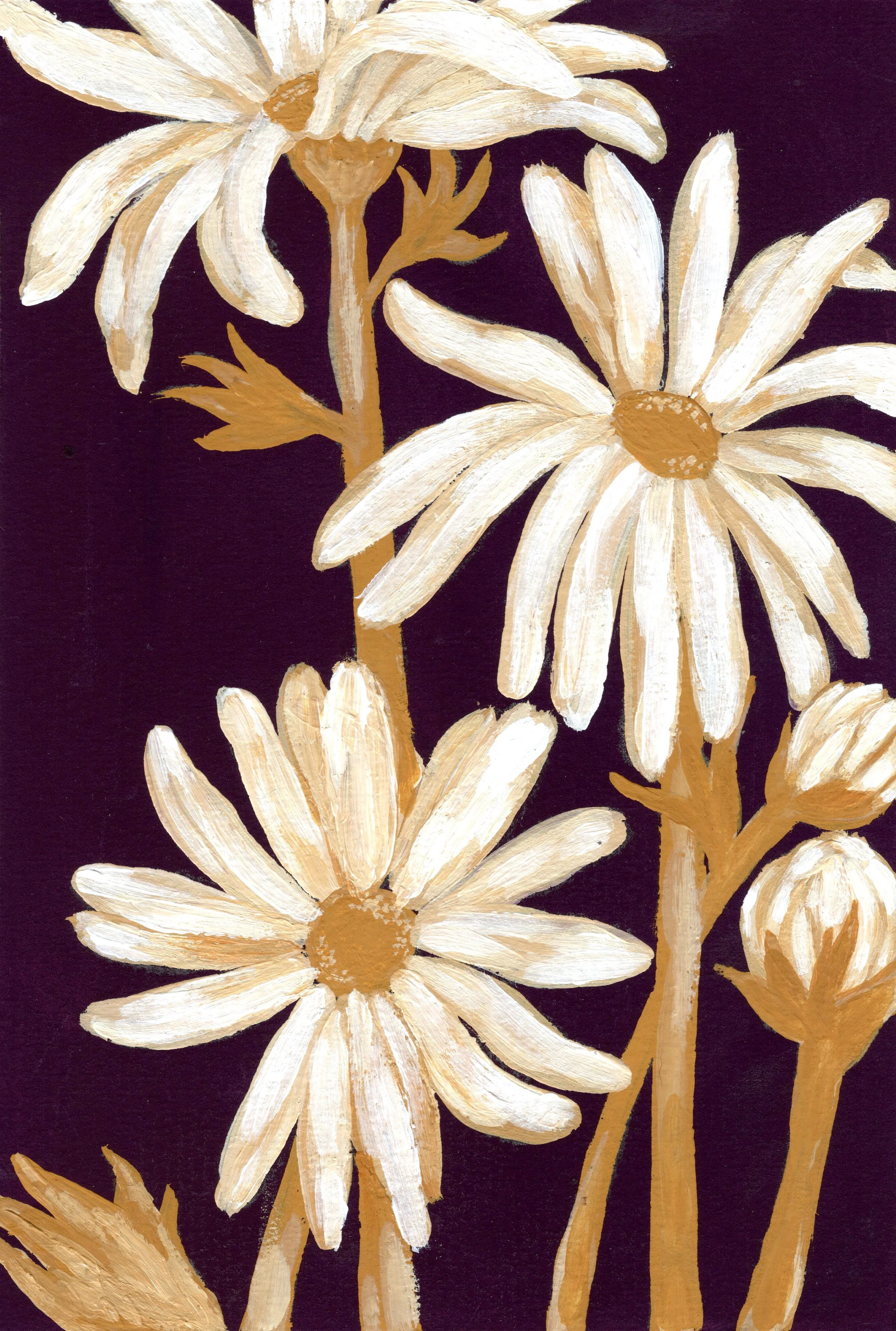 Daisies.jpg