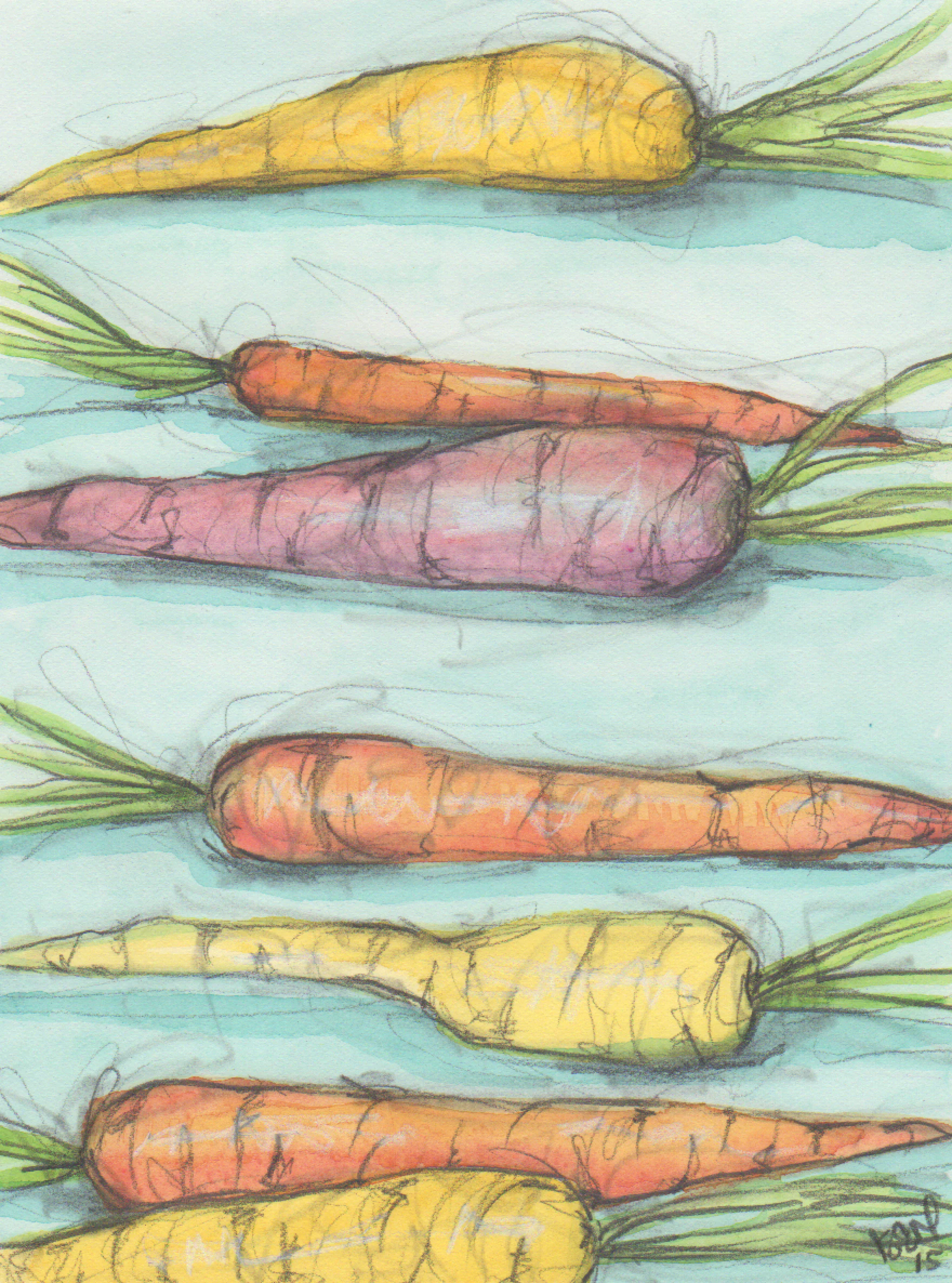 The Drawing Pad: Heirloom Carrots
