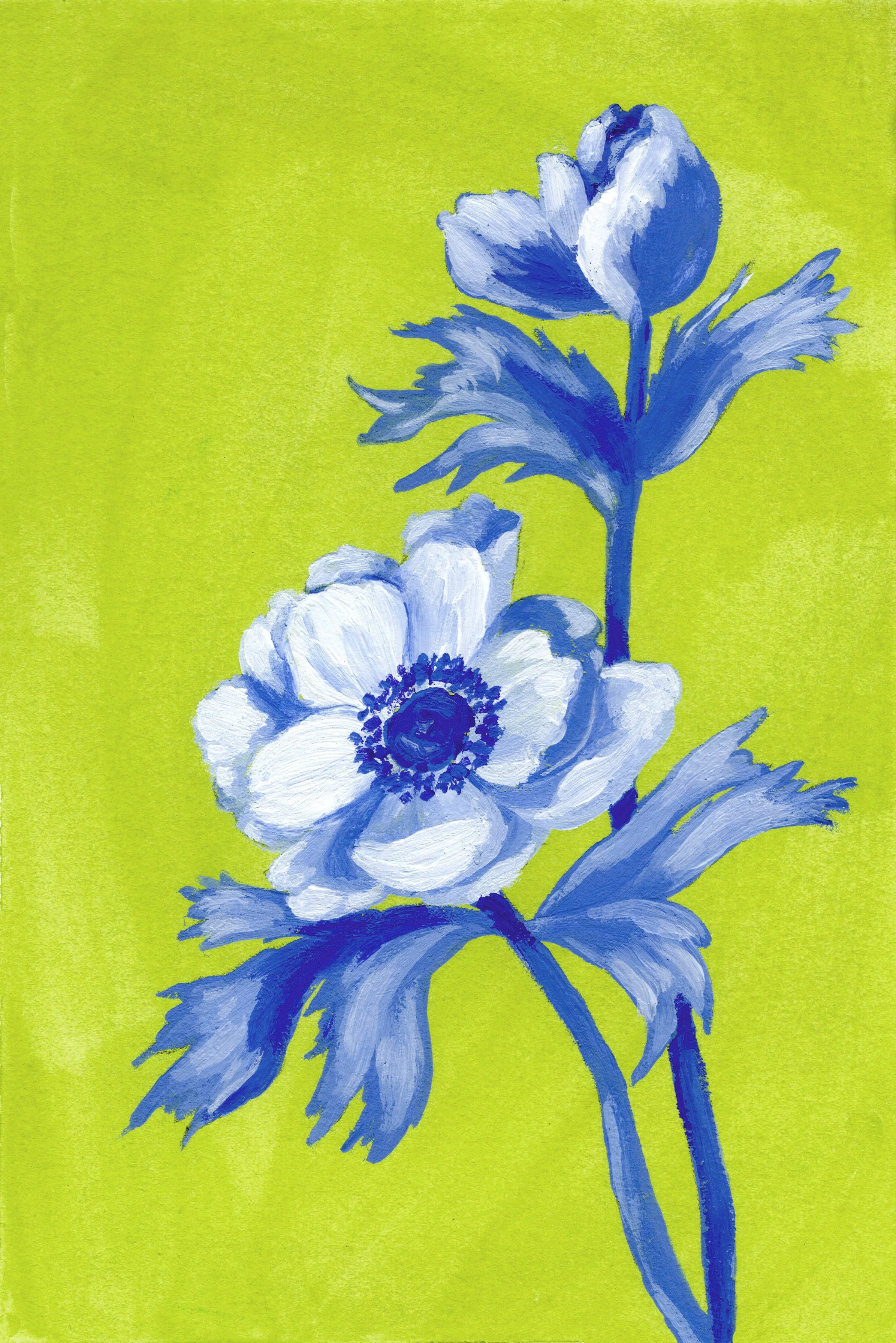 Anemone.jpg