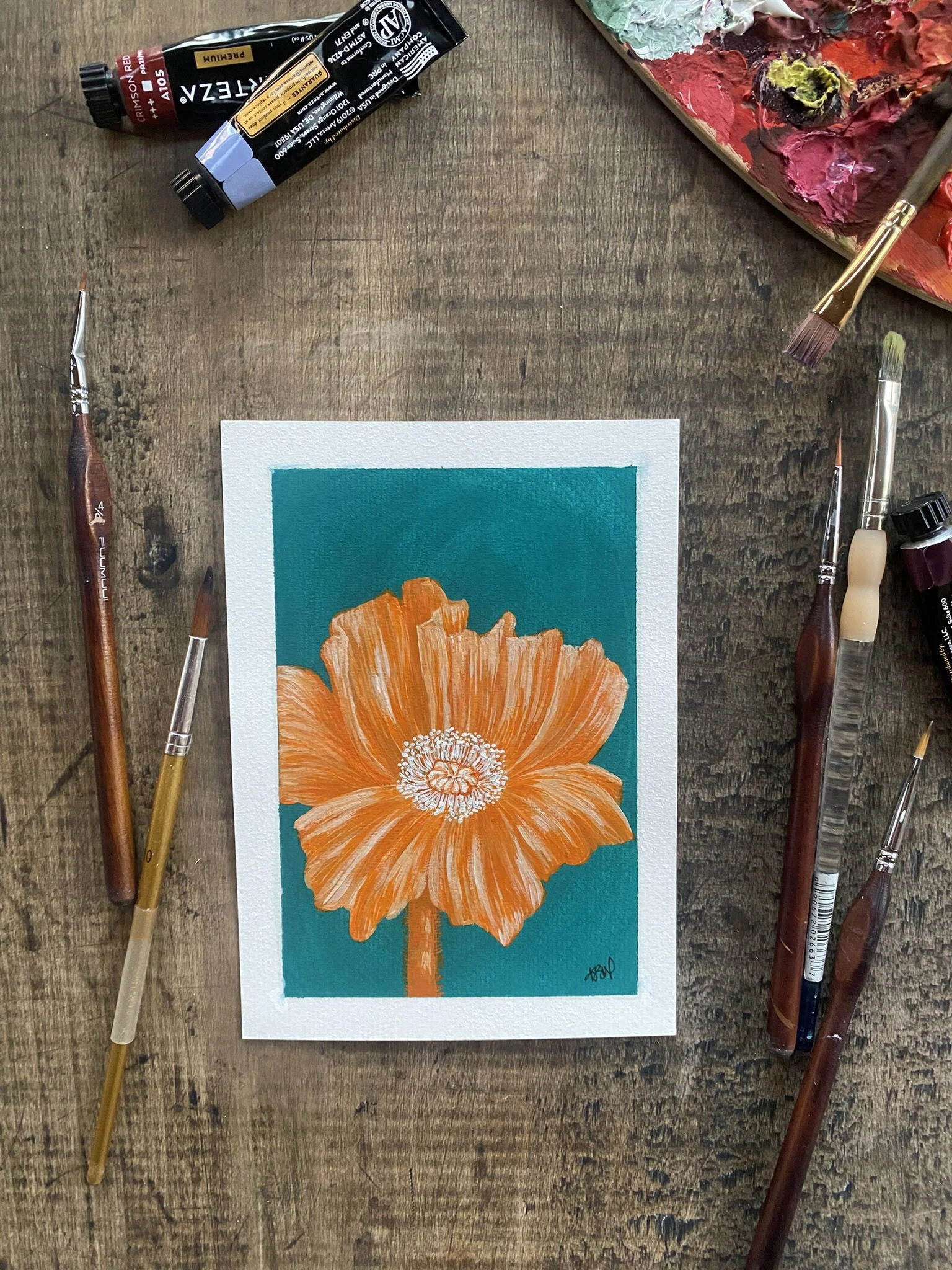 CaliforniaPoppy1.jpg