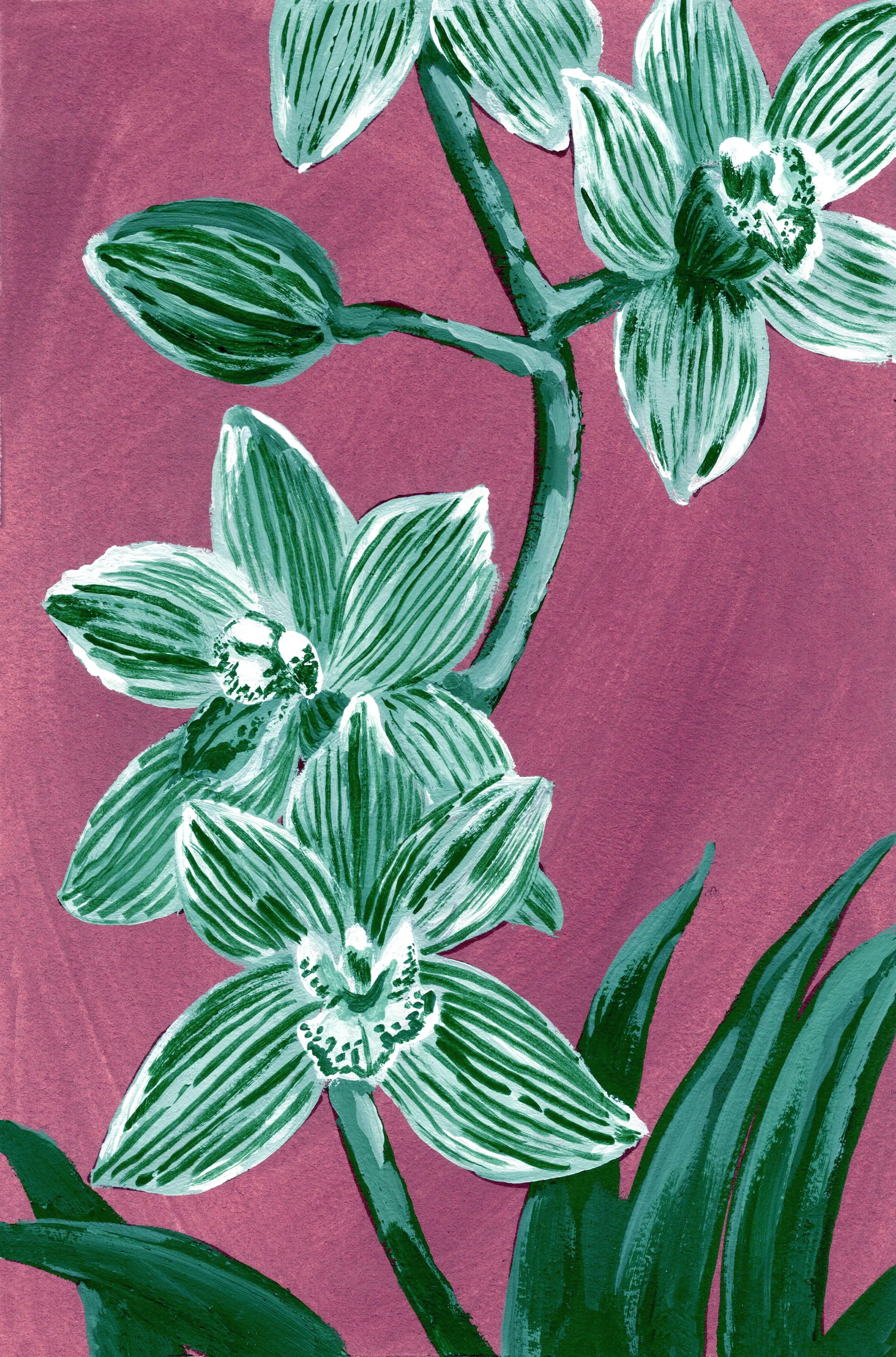 Orchid.jpg