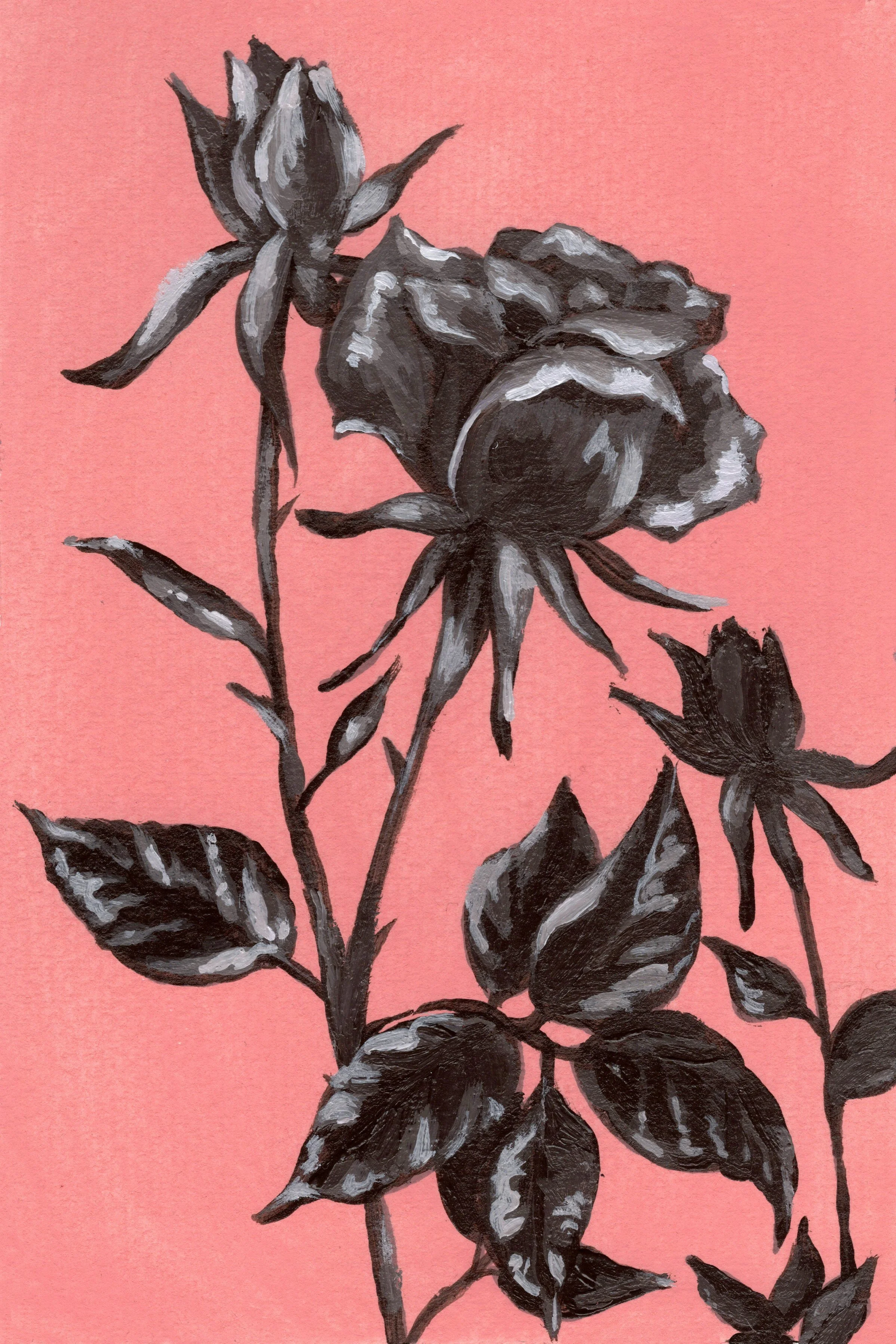 Rose.jpg