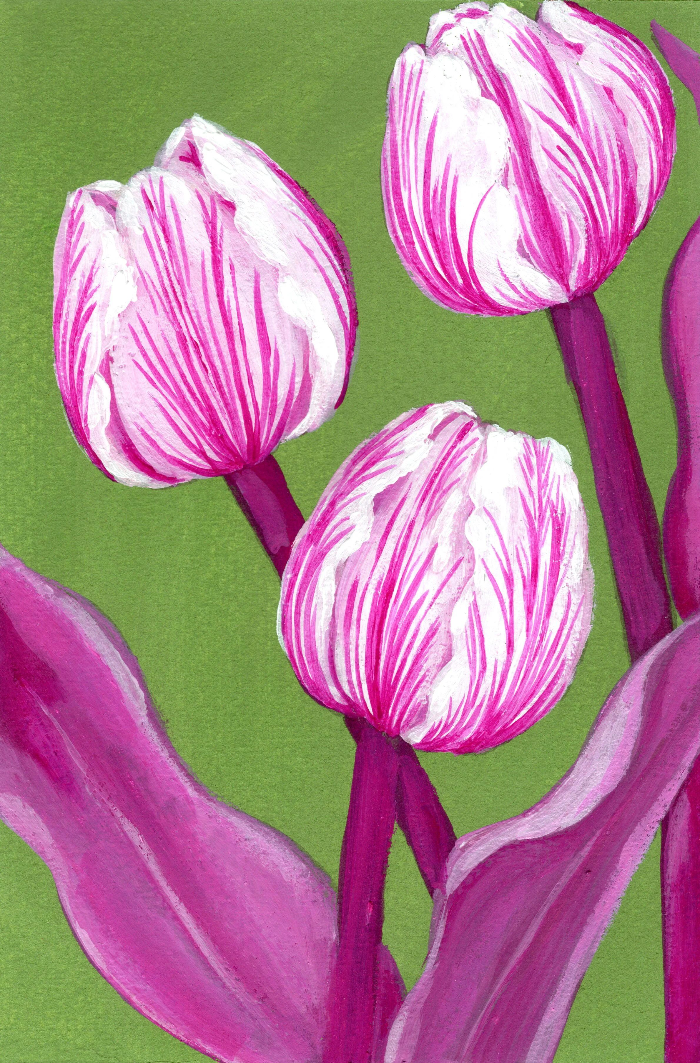Tulips.jpg