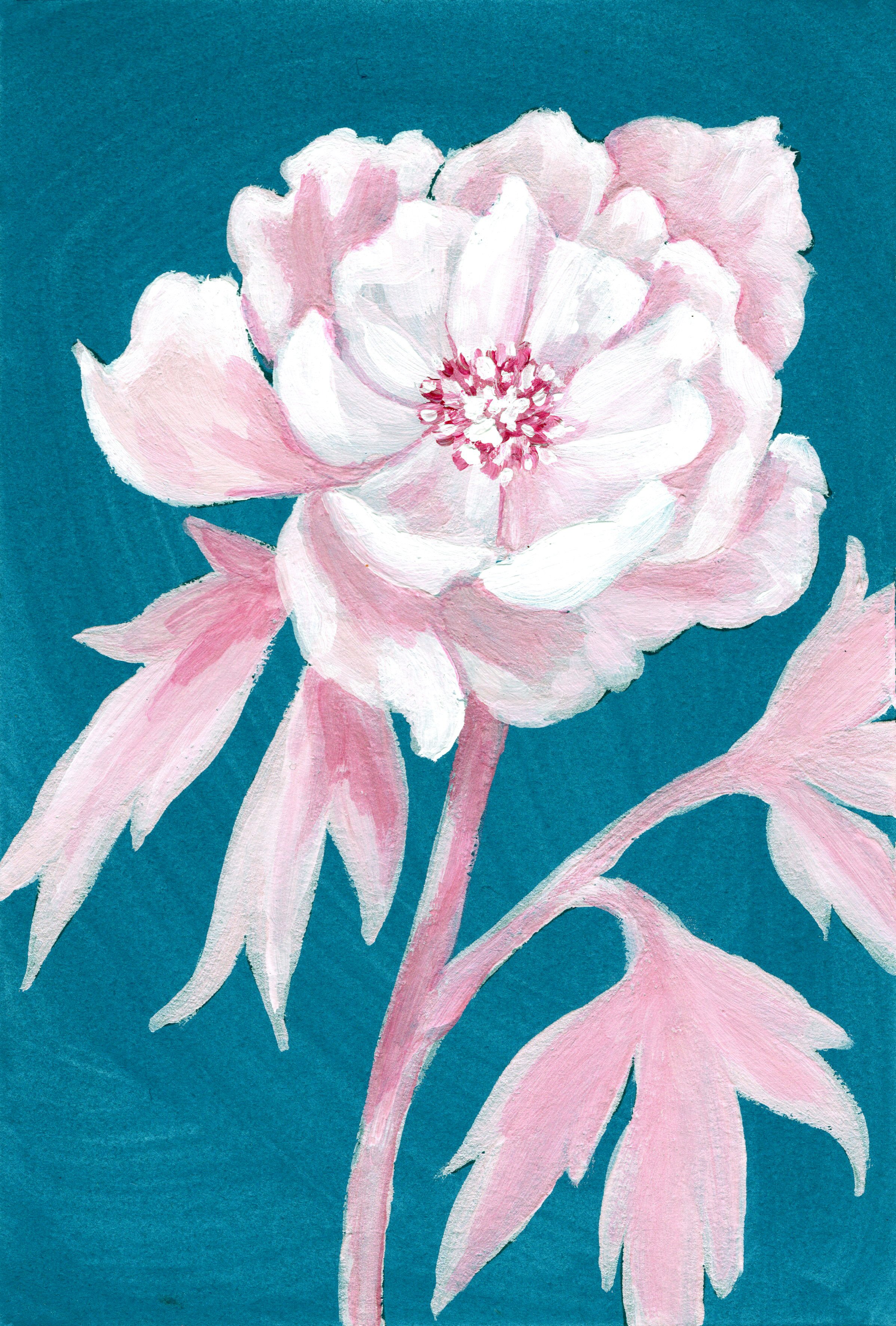 Peony.jpg