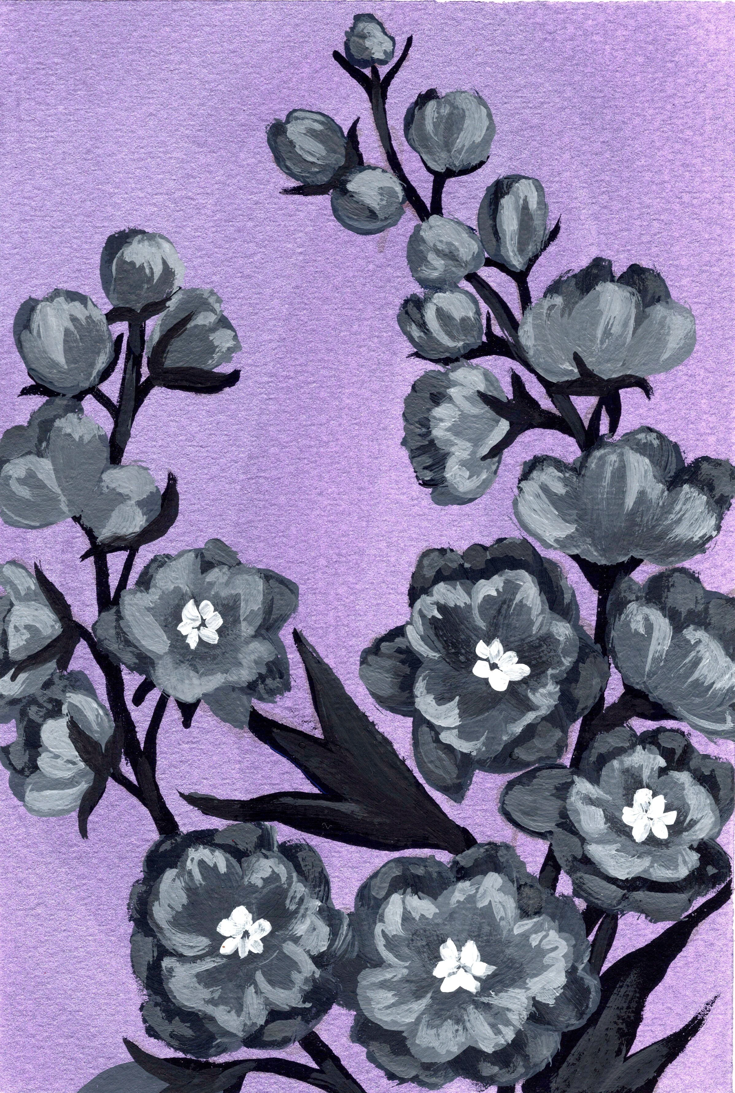 Delphinium.jpg