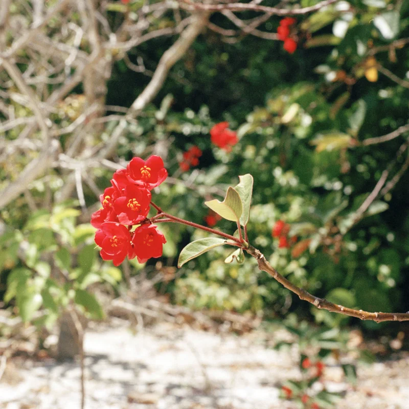 FL_27.jpg