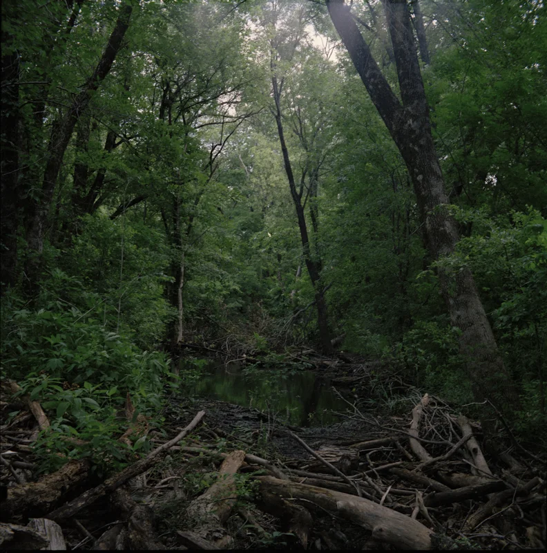 McKinney_01.jpg