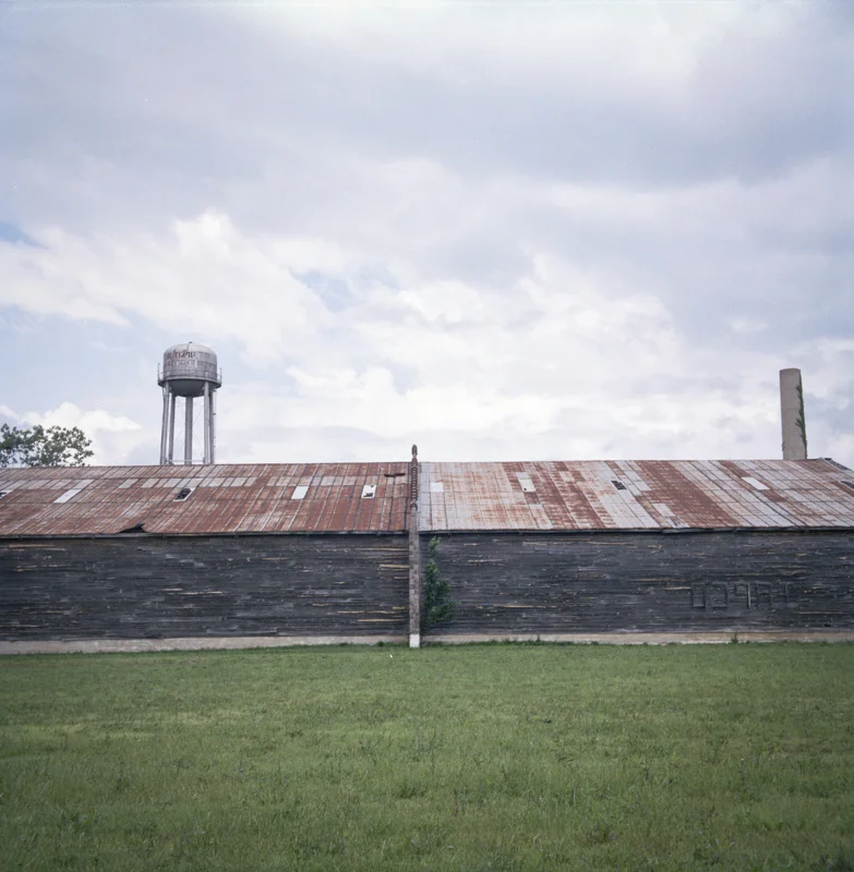 McKinney_4.jpg