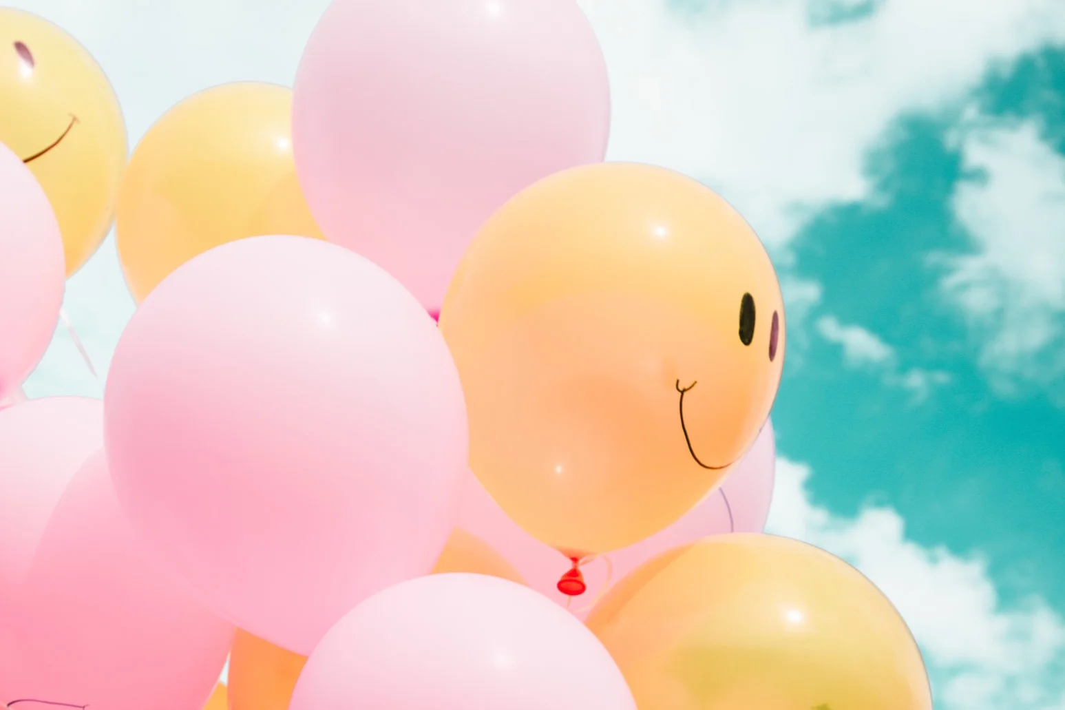 Happiness is Following