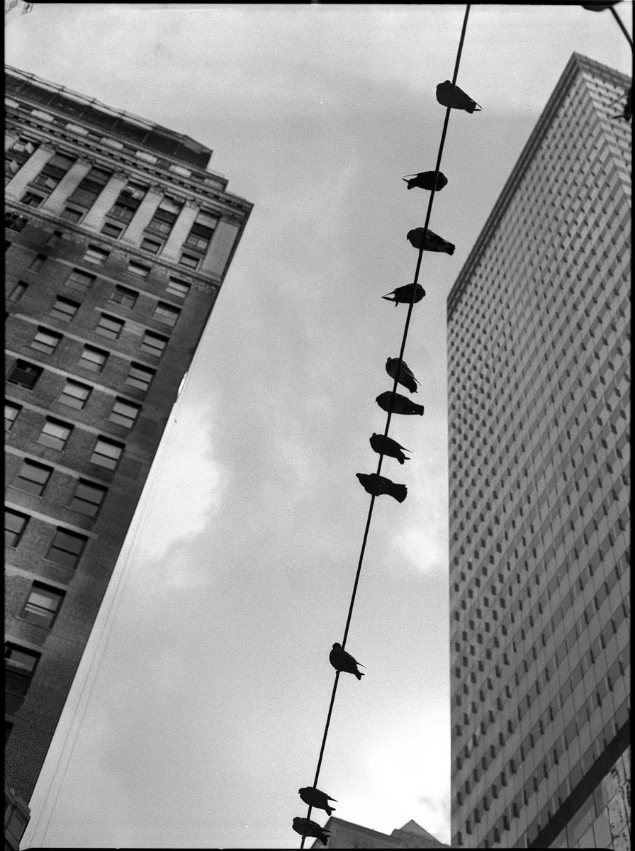 Kodak 400TX - New York, NY - 2014 © Ken Bruggeman Photography