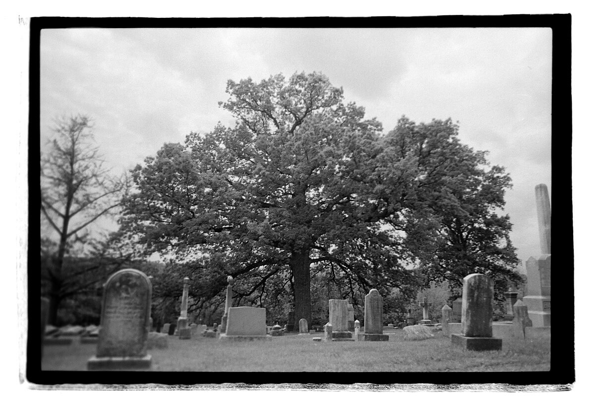 Instead of scanning this negative I cut a section out of black matte board the size of the 35mm negative and placed it on a light board and then photographed the negative, thus the crazy border. I loved the look so I kept the border instead of cropping in on it.
