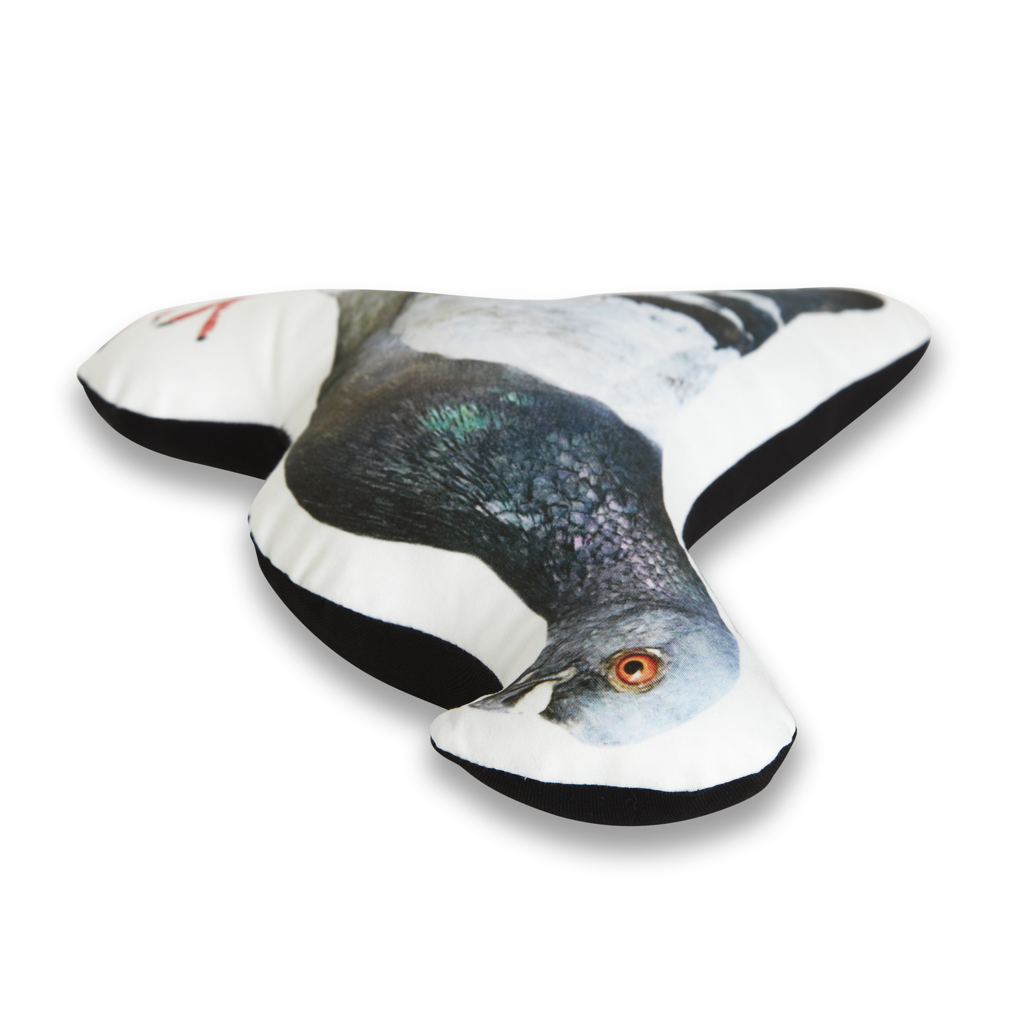 ANI_004_Pigeon_Faces_Right_2.jpg