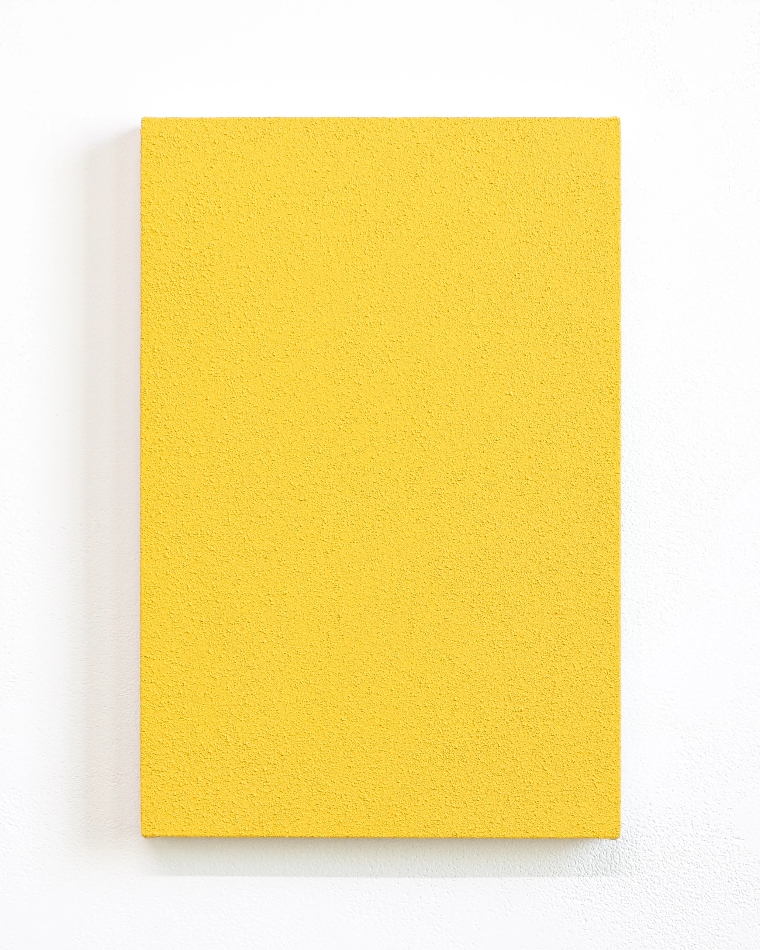 Every Life is in Many Days