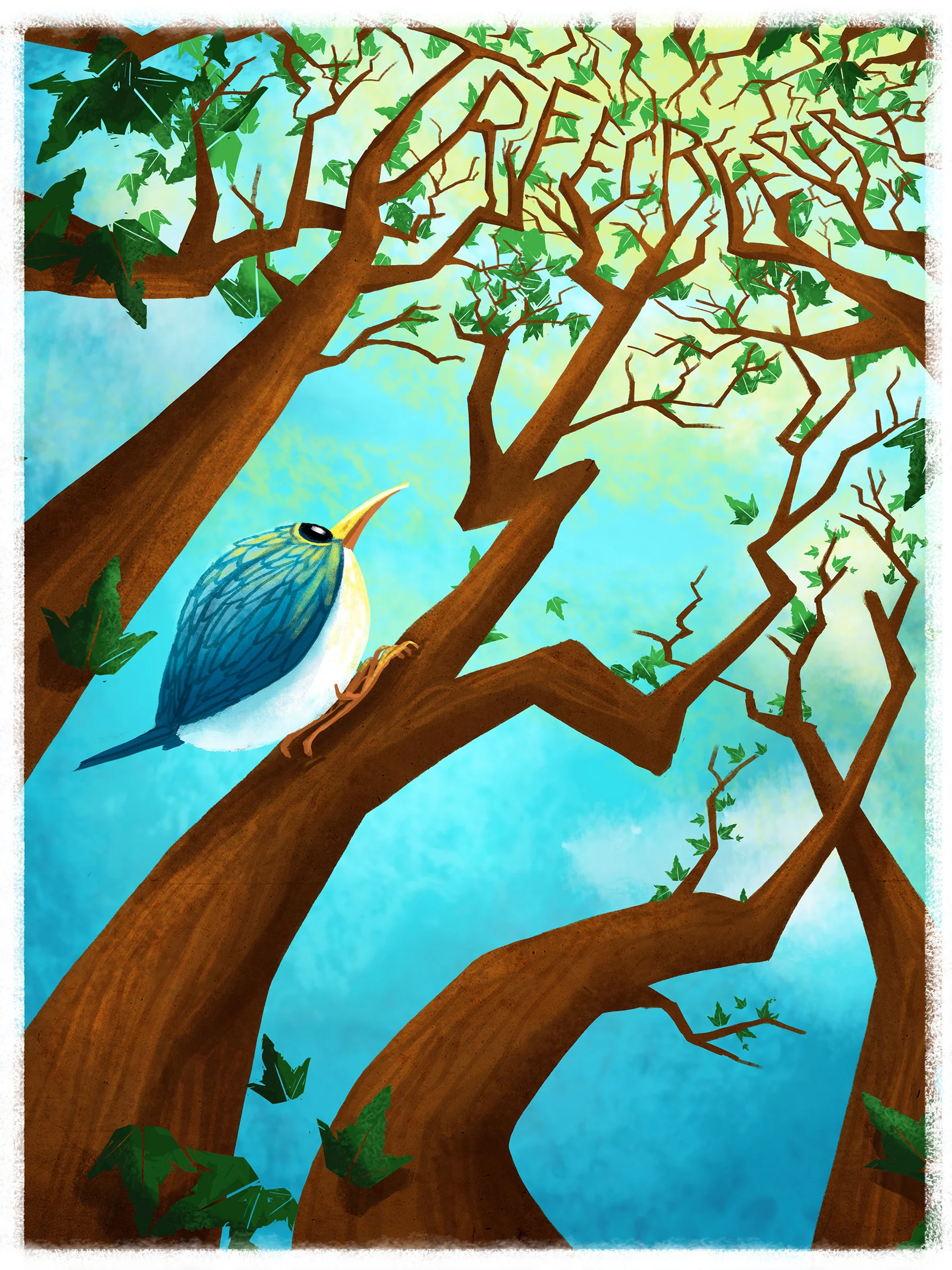 Treecreepers Poster