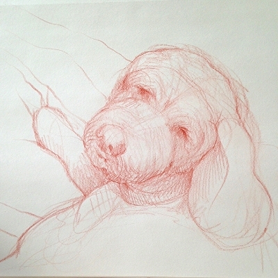  Sketch of my pup Captain.