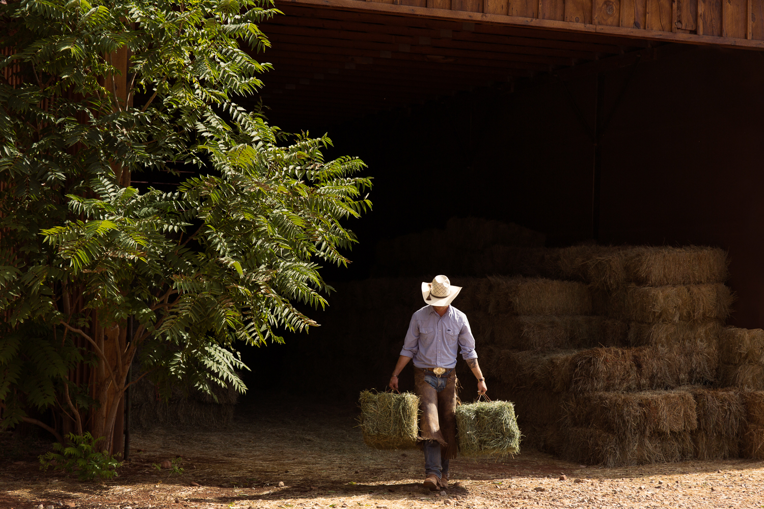 Cowboy Work at Red Cliffs Lodge in Castle Valley, Utah
