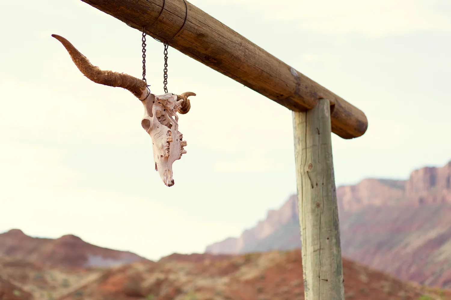 Cowboy Work at Red Cliffs Lodge in Castle Valley, Utah