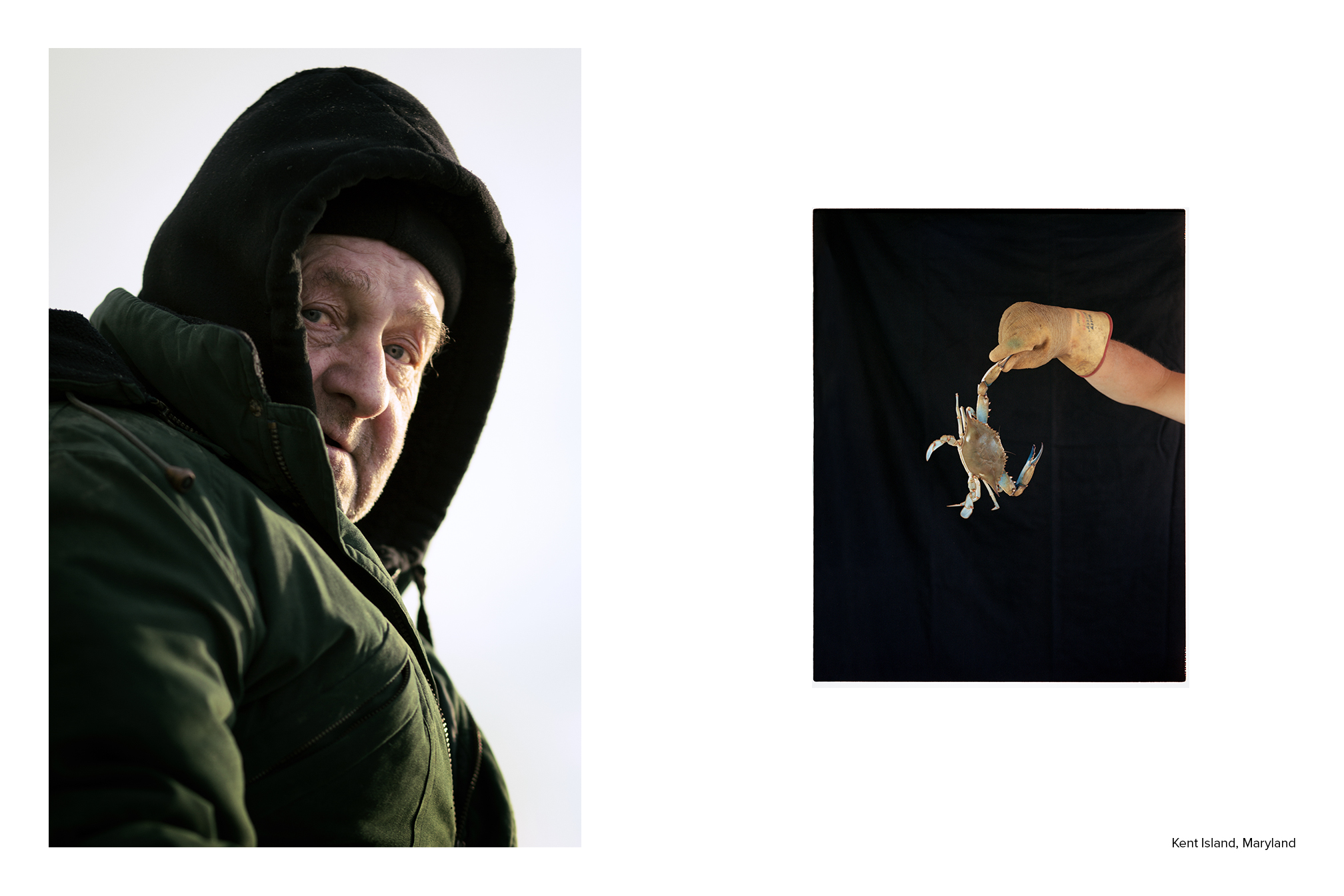 spread4.jpg